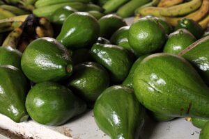 L’avocado della signora